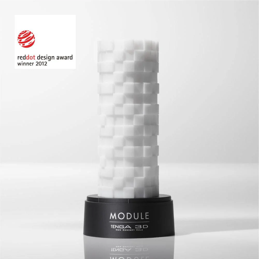 3D Module - Image 2